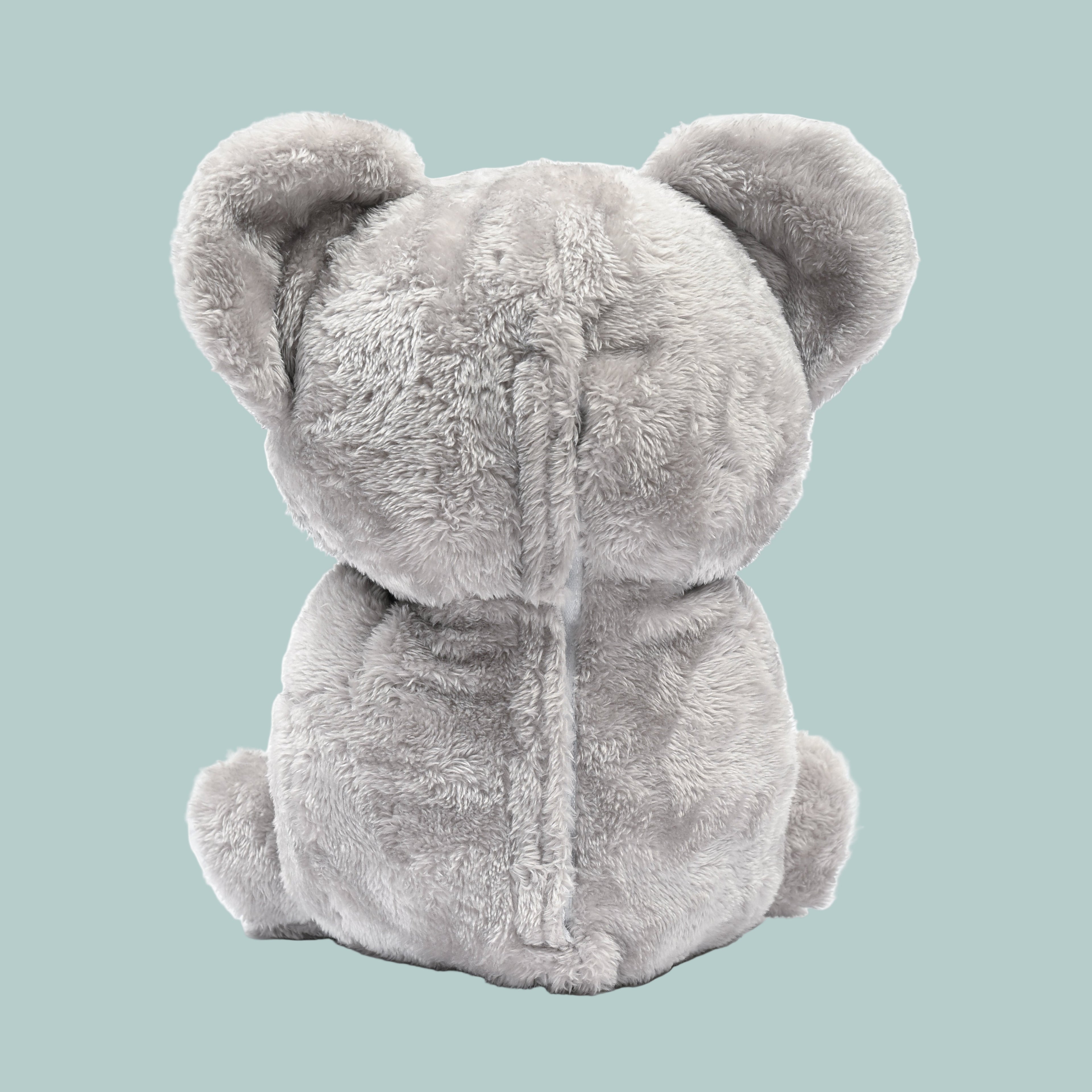 Koko the Breathing Koala