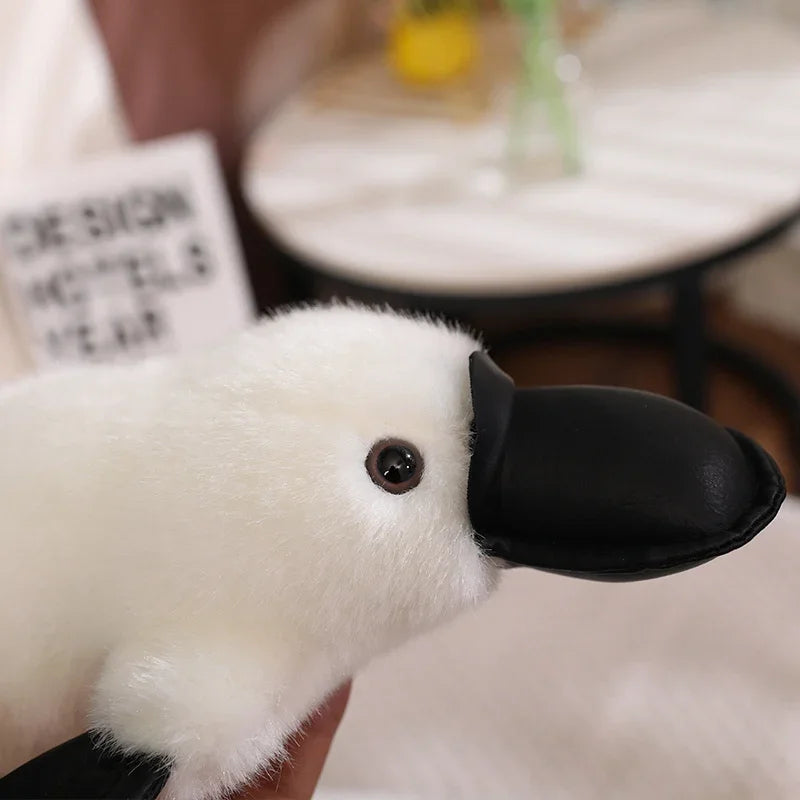 Paddy & Poppy Platypus - PlushZoo