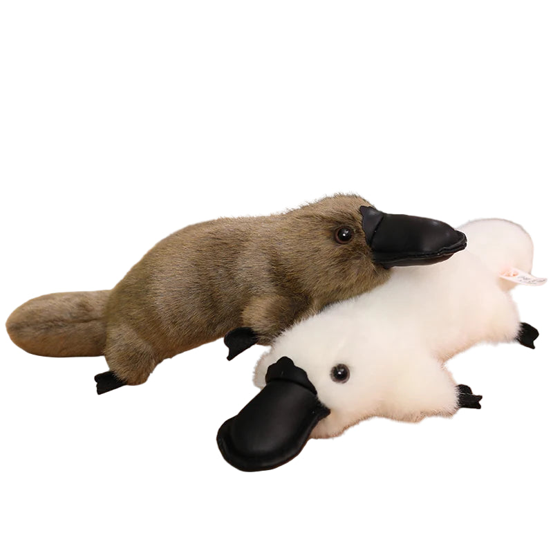 Paddy & Poppy Platypus - PlushZoo