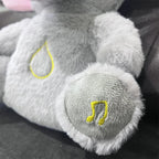 Koko the Breathing Koala
